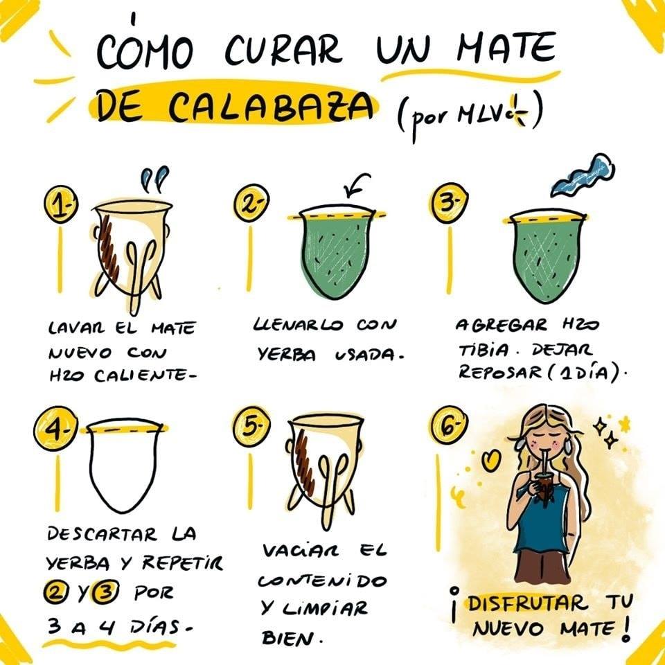 Pasos para curar el mate